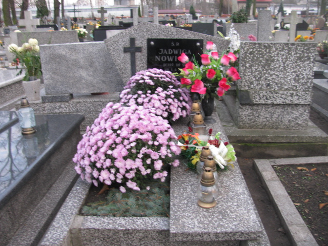 Grób Jadwiga Nowicka