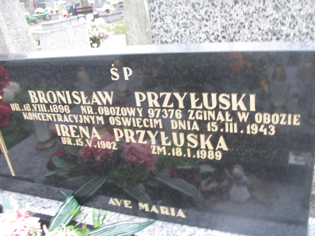 Dominika Anna Smorawa 1994 Sieradz Paraf - Grobonet - Wyszukiwarka osób pochowanych